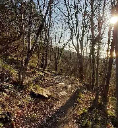 Casa Del Leone Appartamento