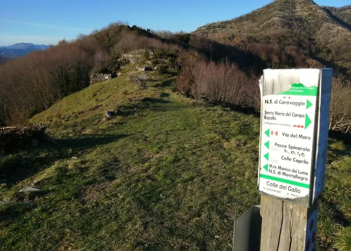 Casa Del Leone شقة *