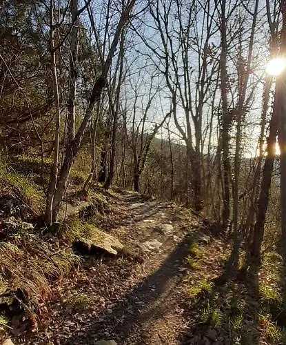 Casa Del Leone شقة